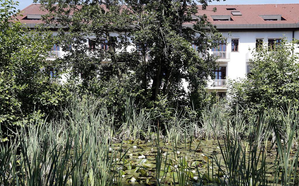 Tagungs- Und Bildungszentrum Steinbach/Taunus Steinbach im Taunus Extérieur photo